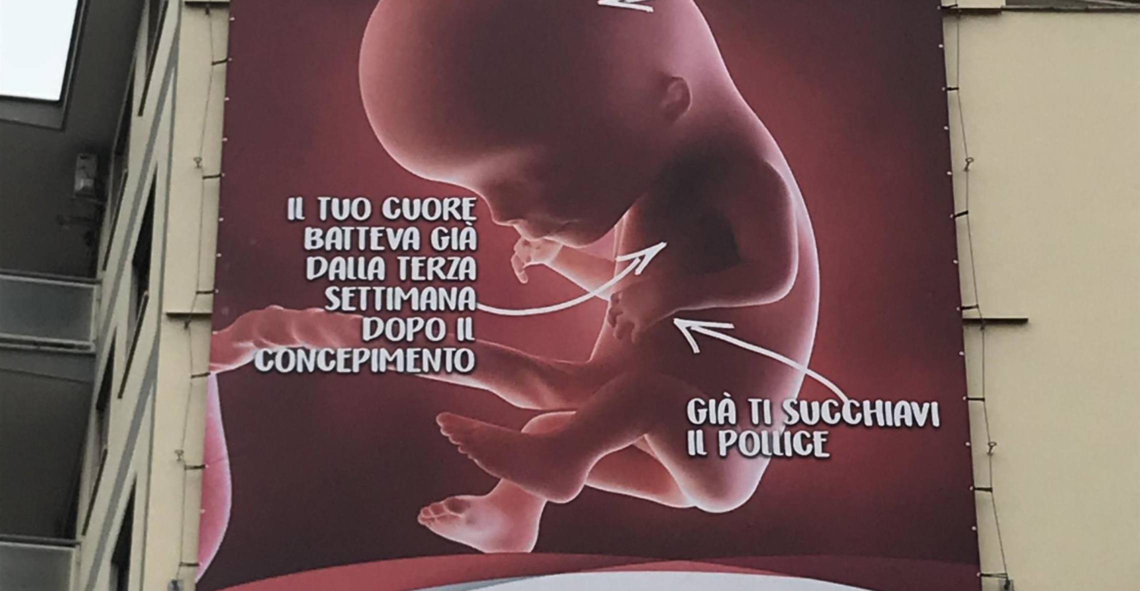 Vergognoso alla Camera: aborto difeso come un diritto umano. Ecco cosa è successo 1